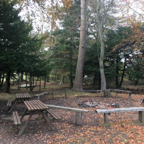 Campfire circle in the grounds at Powburn