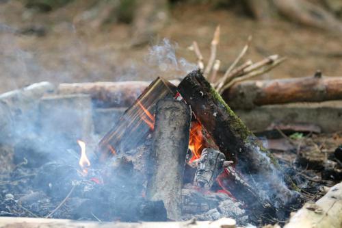 Cubs-Badge-Day-2018-186