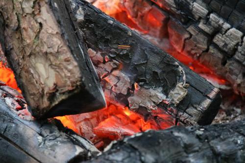 Cubs-Badge-Day-2018-194