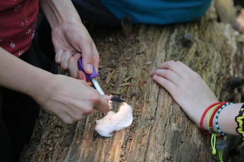 Cubs-Badge-Day-2018-206