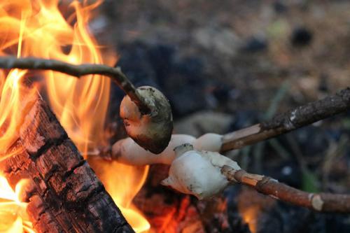 Cubs-Badge-Day-2018-208