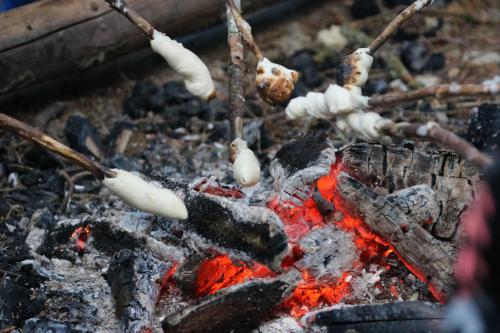 Cubs-Badge-Day-2018-233